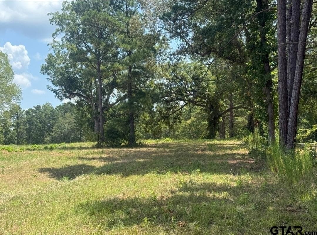 91 acres in Smith County - photo 13