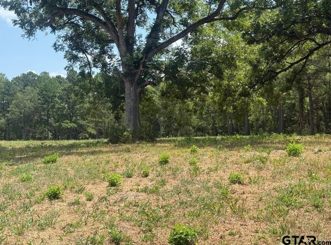 91 acres in Smith County - photo 6