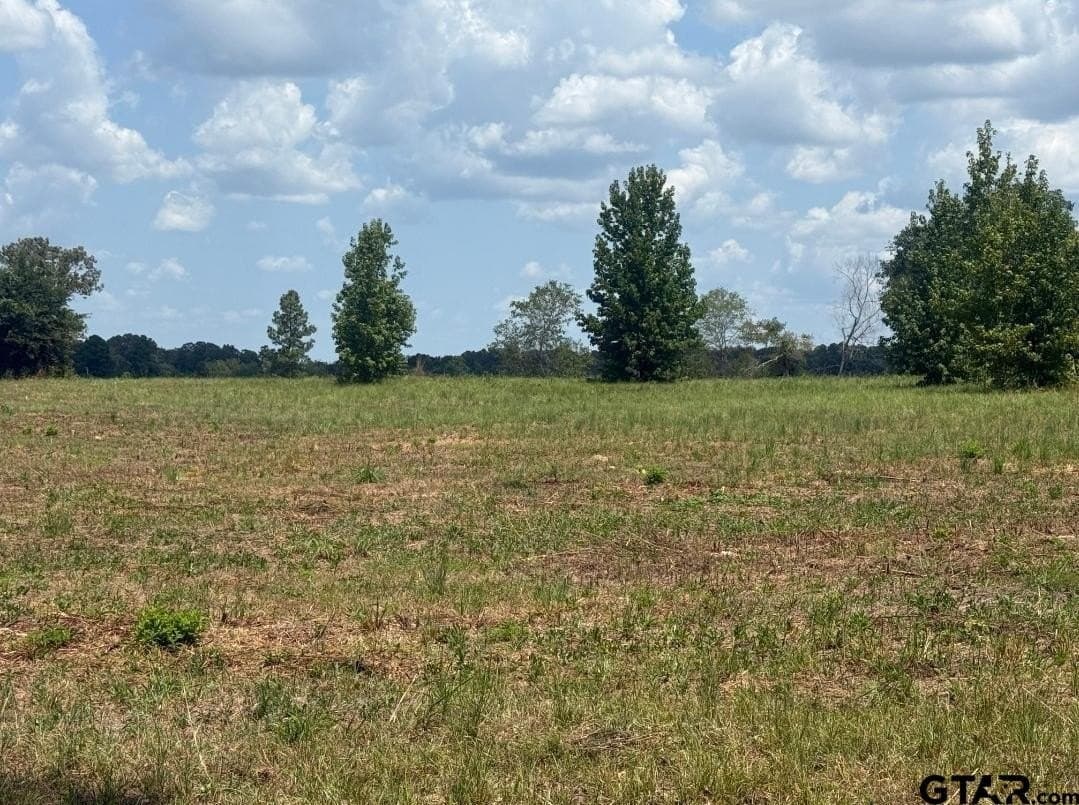 91 acres in Smith County - photo 4