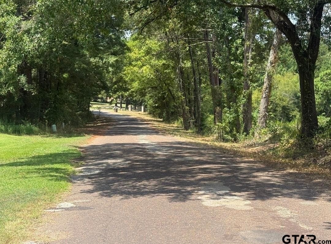 91 acres in Smith County - photo 2