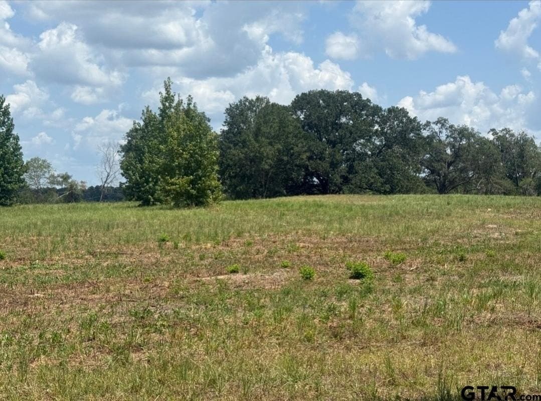 91 acres in Smith County - photo 15