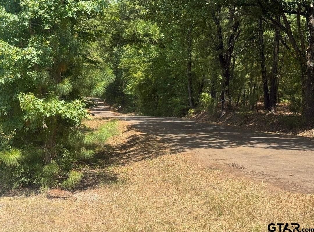 91 acres in Smith County - photo 16