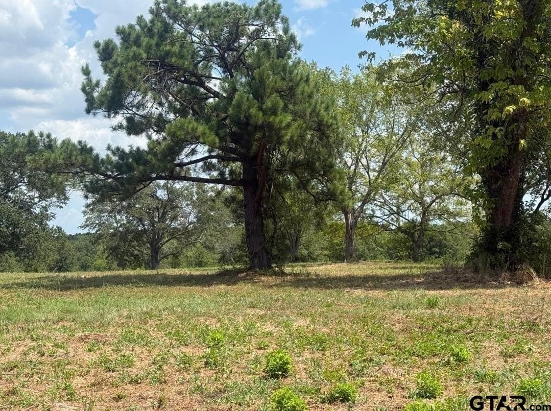 91 acres in Smith County - photo 8