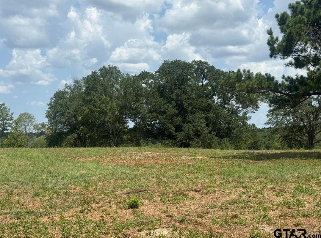 91 acres in Smith County - photo 10
