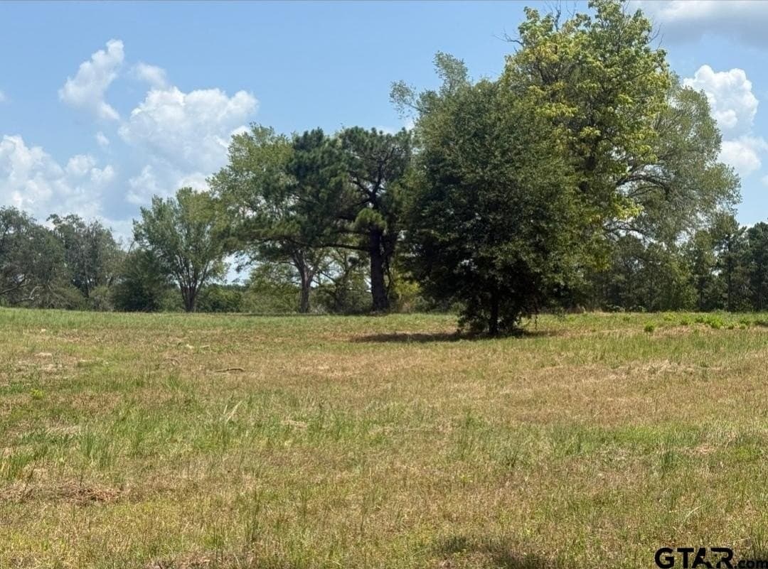 91 acres in Smith County - photo 14