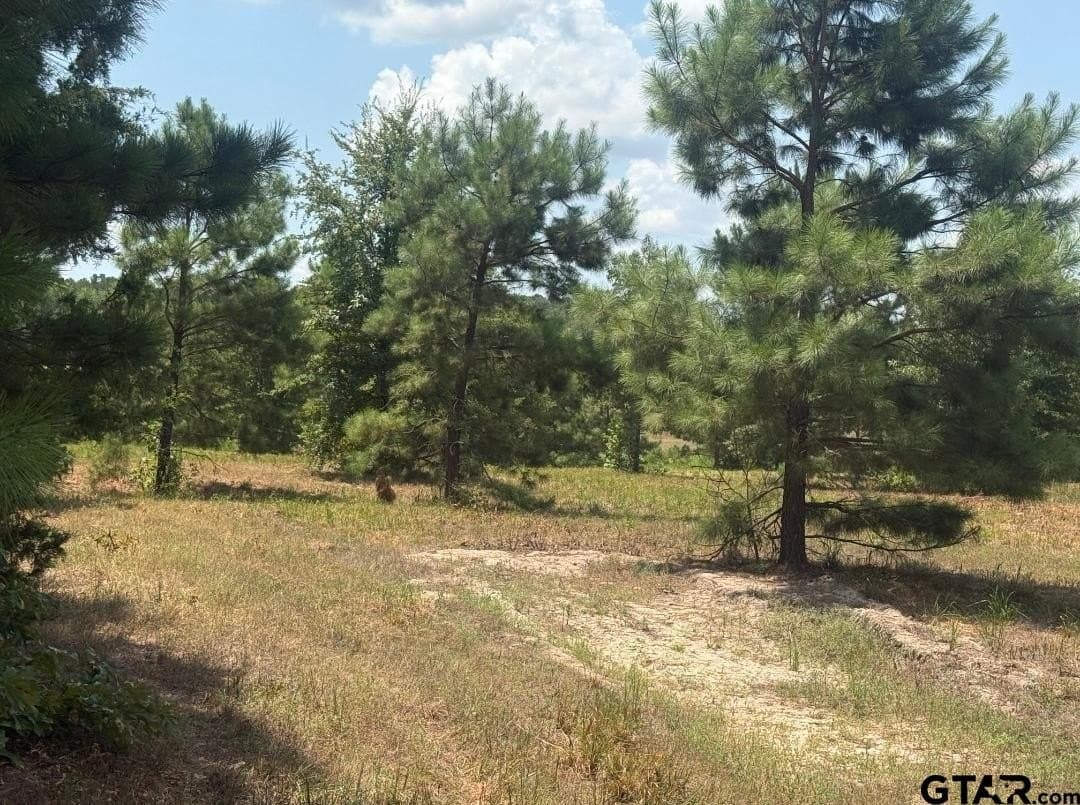 91 acres in Smith County - photo 3