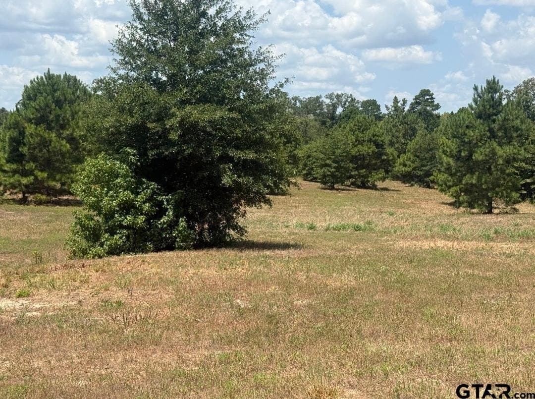 91 acres in Smith County - photo 17