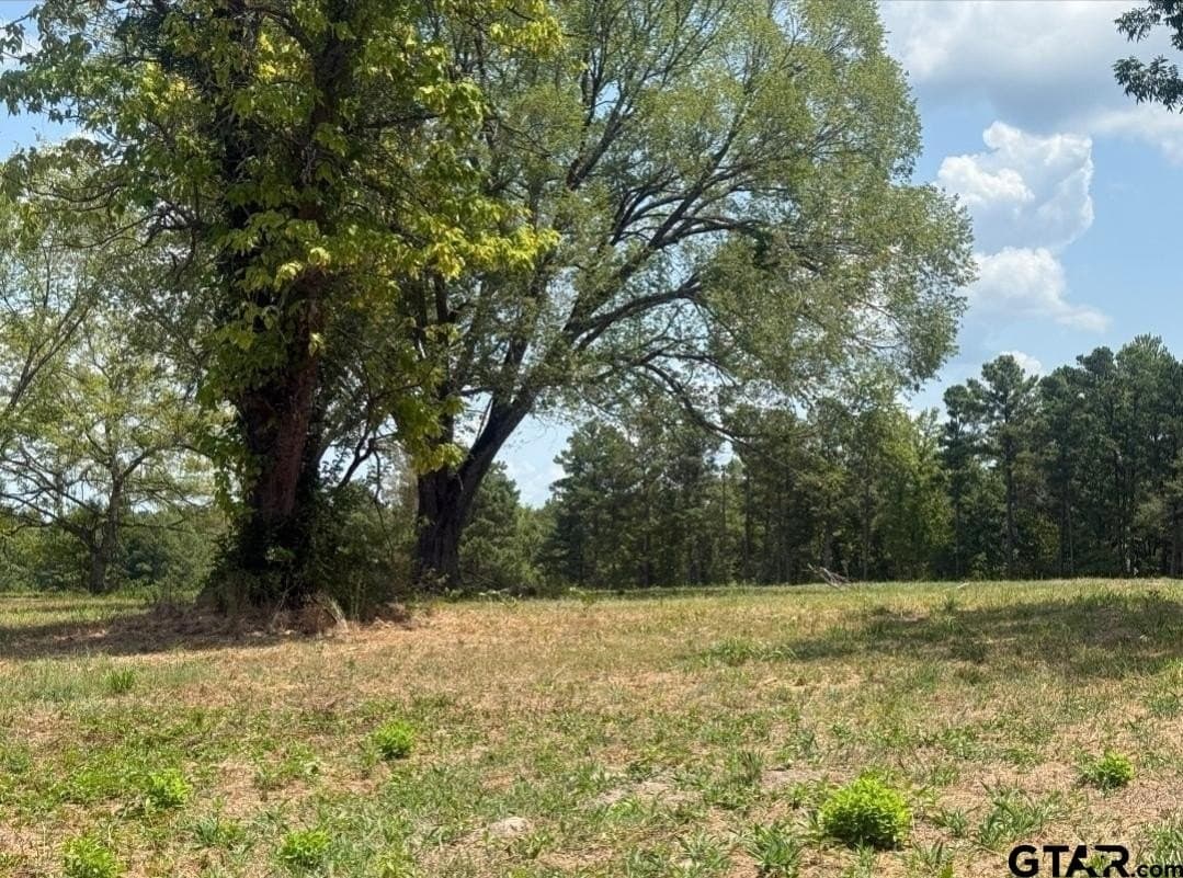 91 acres in Smith County - photo 11
