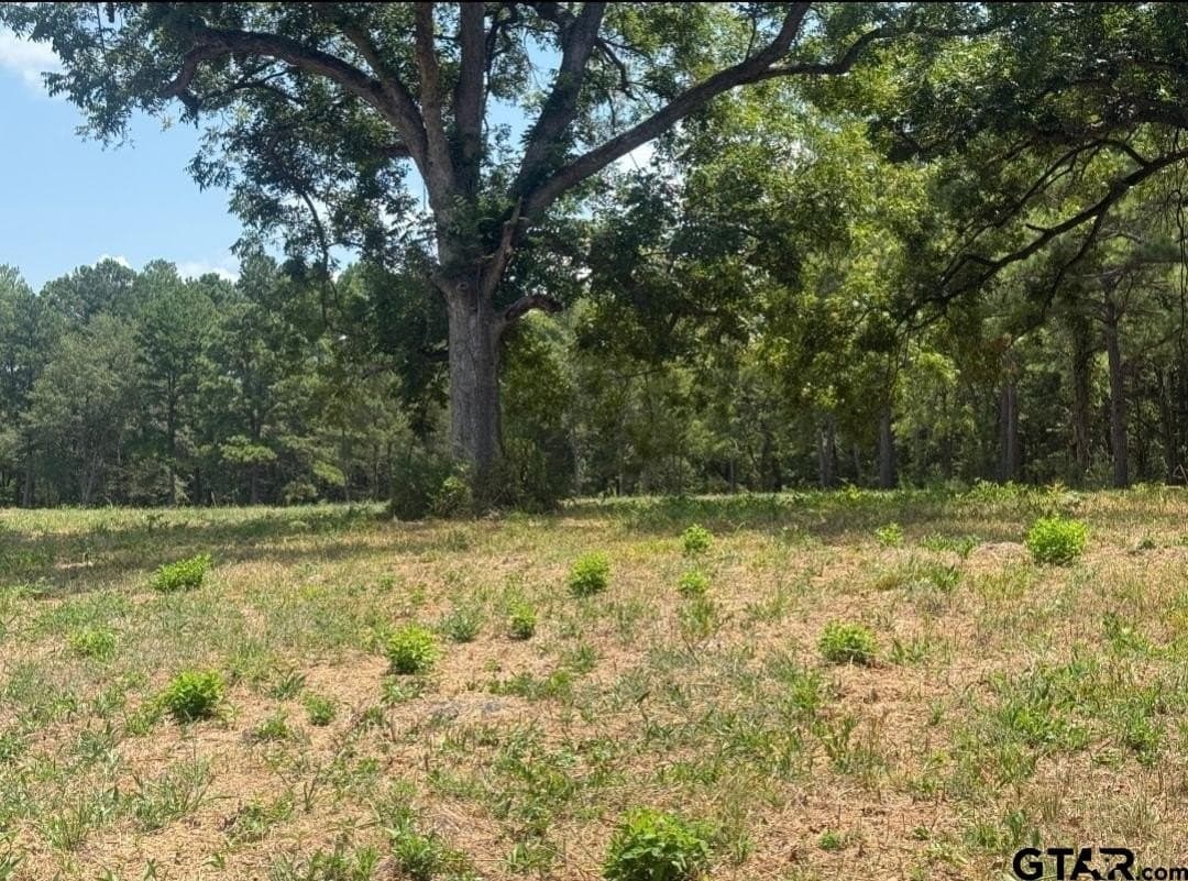 91 acres in Smith County - photo 12