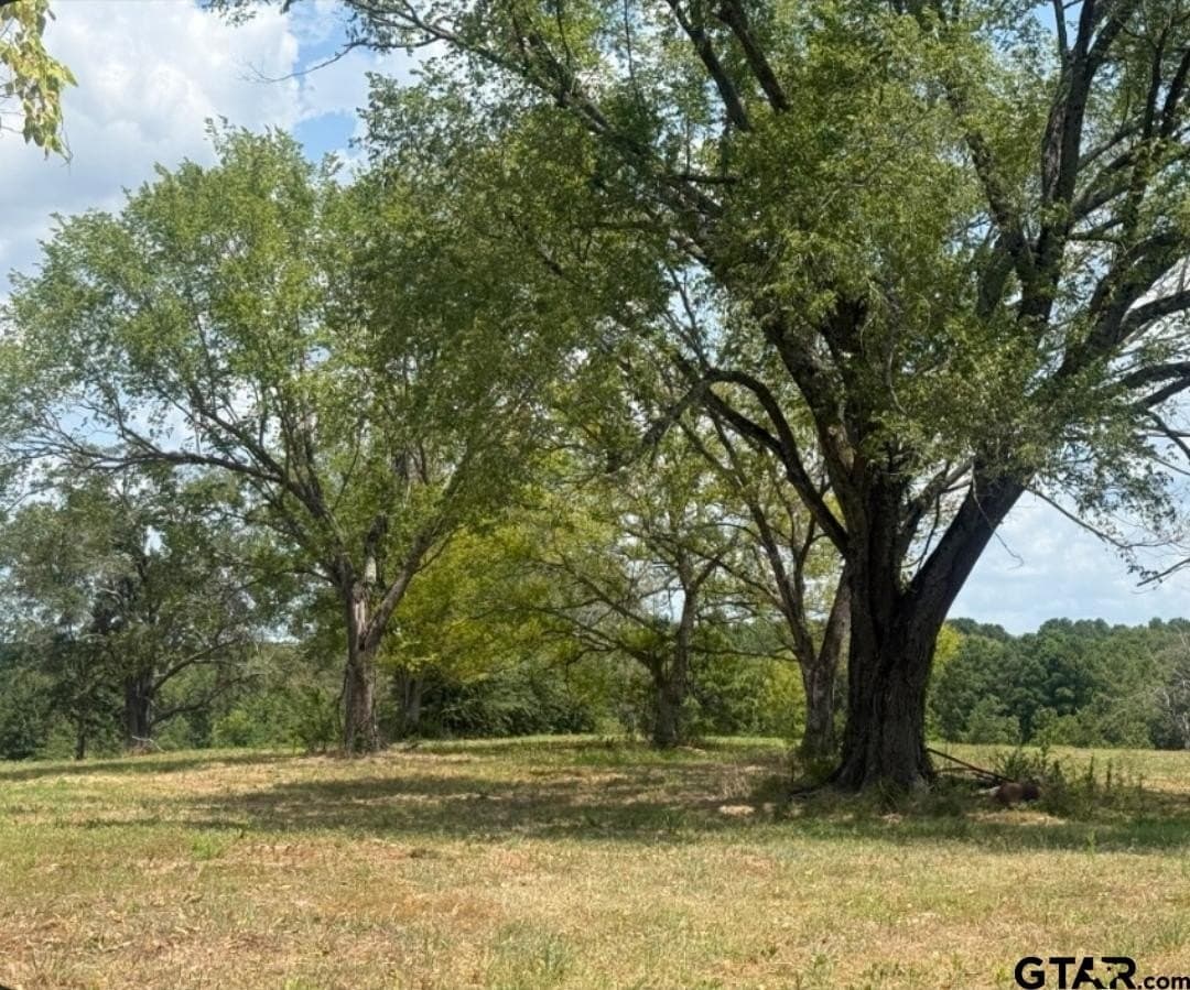 91 acres in Smith County - photo 9