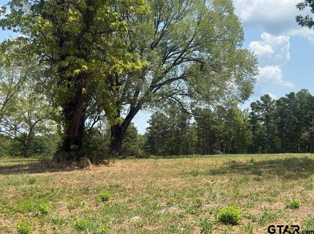 91 acres in Smith County - photo 7