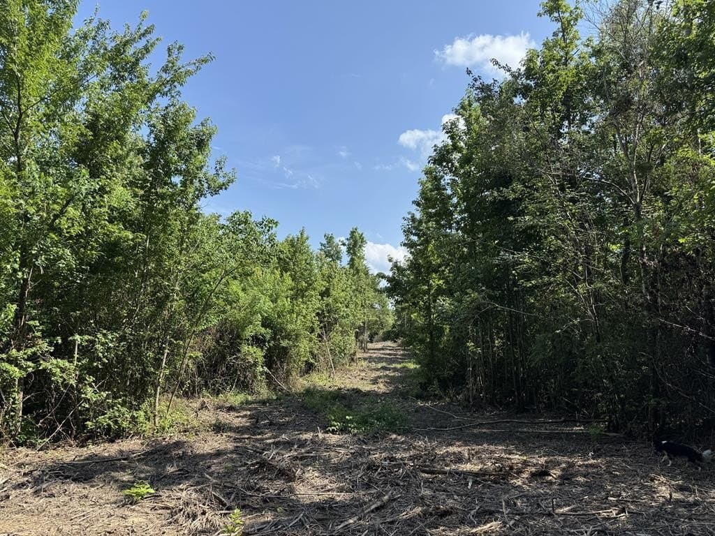 10 acres in Texas County