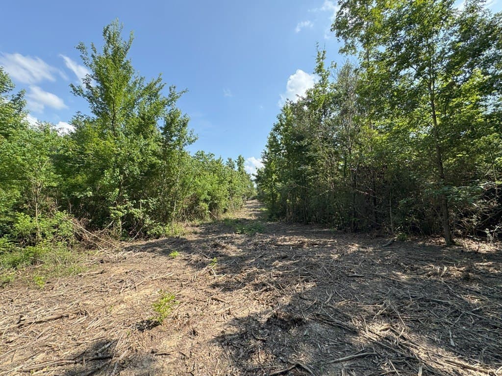 10 acres in Texas County featured view