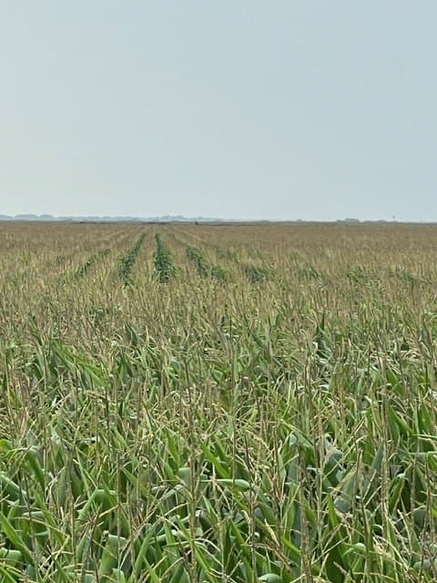 3,819.57 acres in Jim Wells County - photo 21