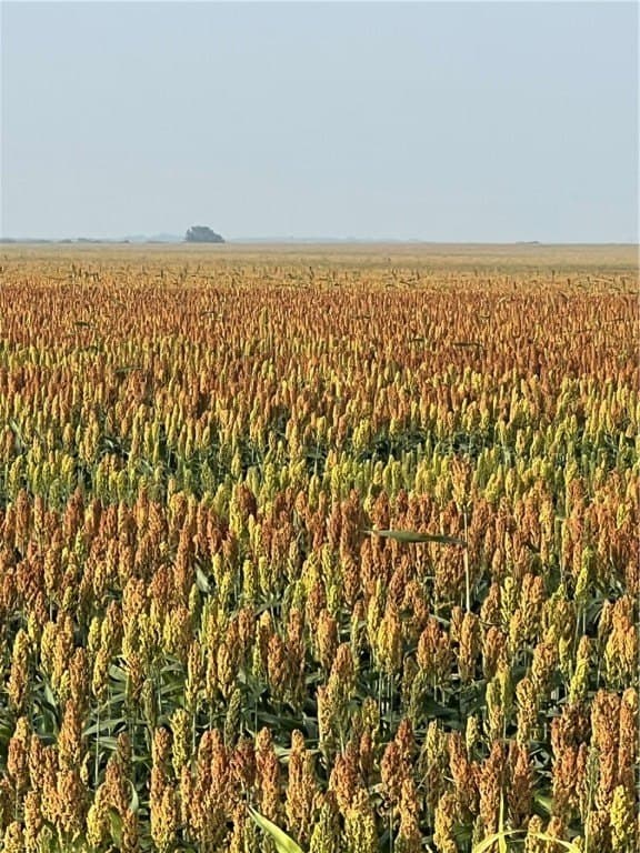 3,819.57 acres in Jim Wells County - photo 18