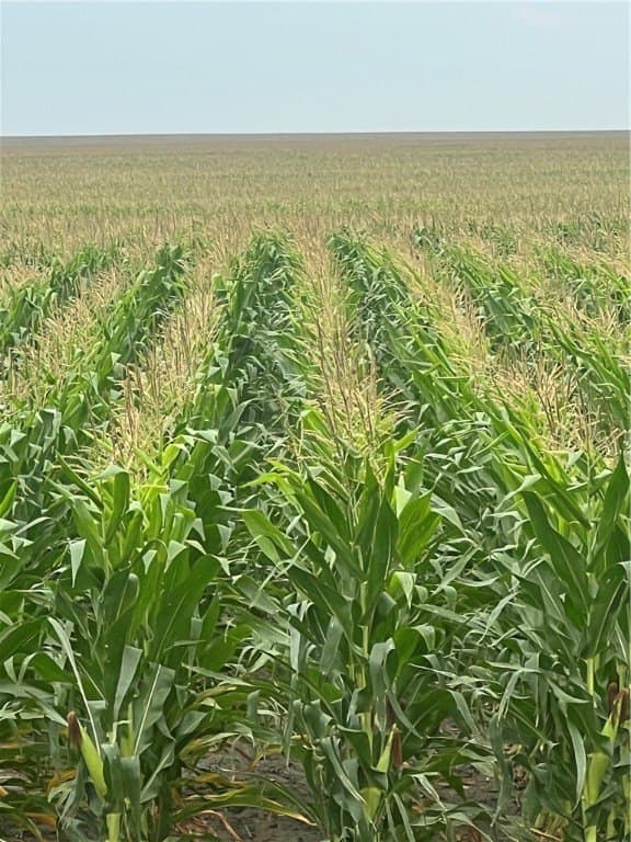 3,819.57 acres in Jim Wells County - photo 20