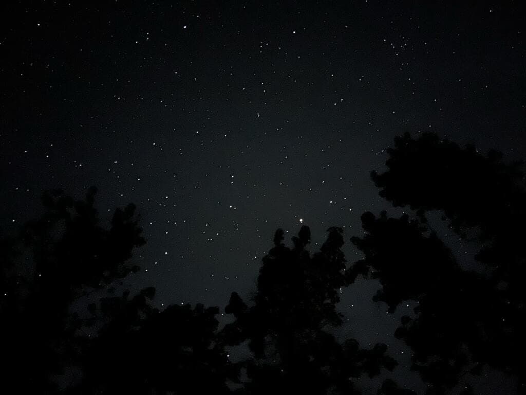 10.1 acres in Texas County - photo 9