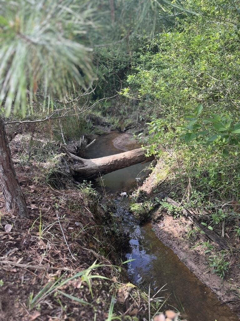 10.1 acres in Texas County - photo 6