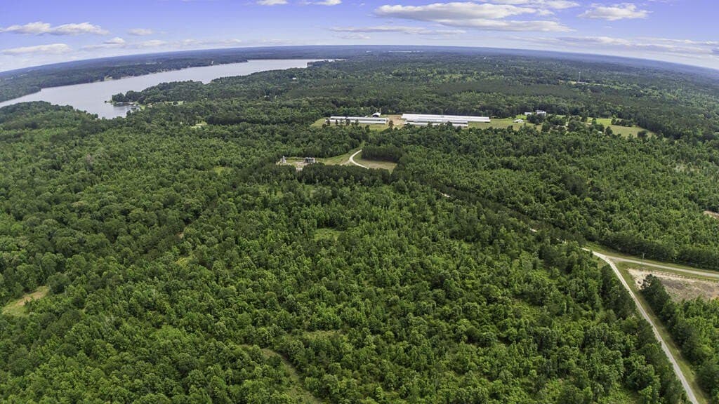 10.1 acres in Texas County - photo 5