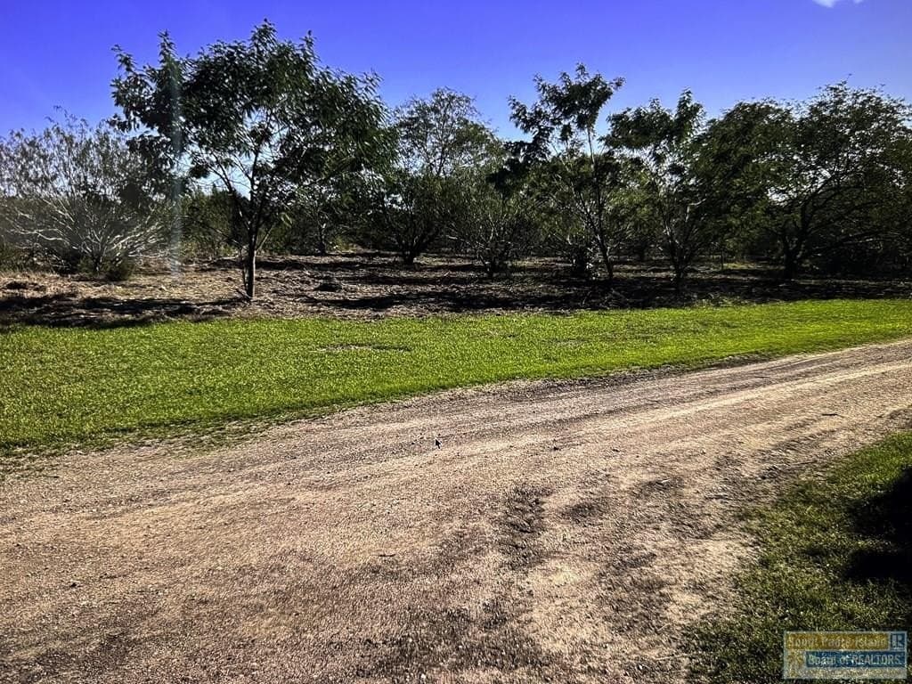 4.1 acres in Cameron County gallery image 4
