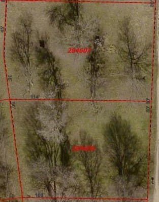0.2 acres in Henderson County gallery image 2