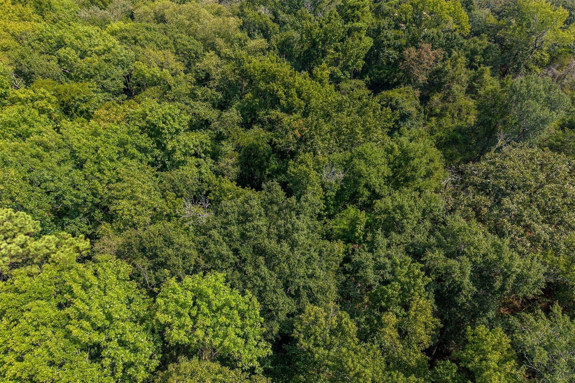 5.44 acres in Smith County - photo 10