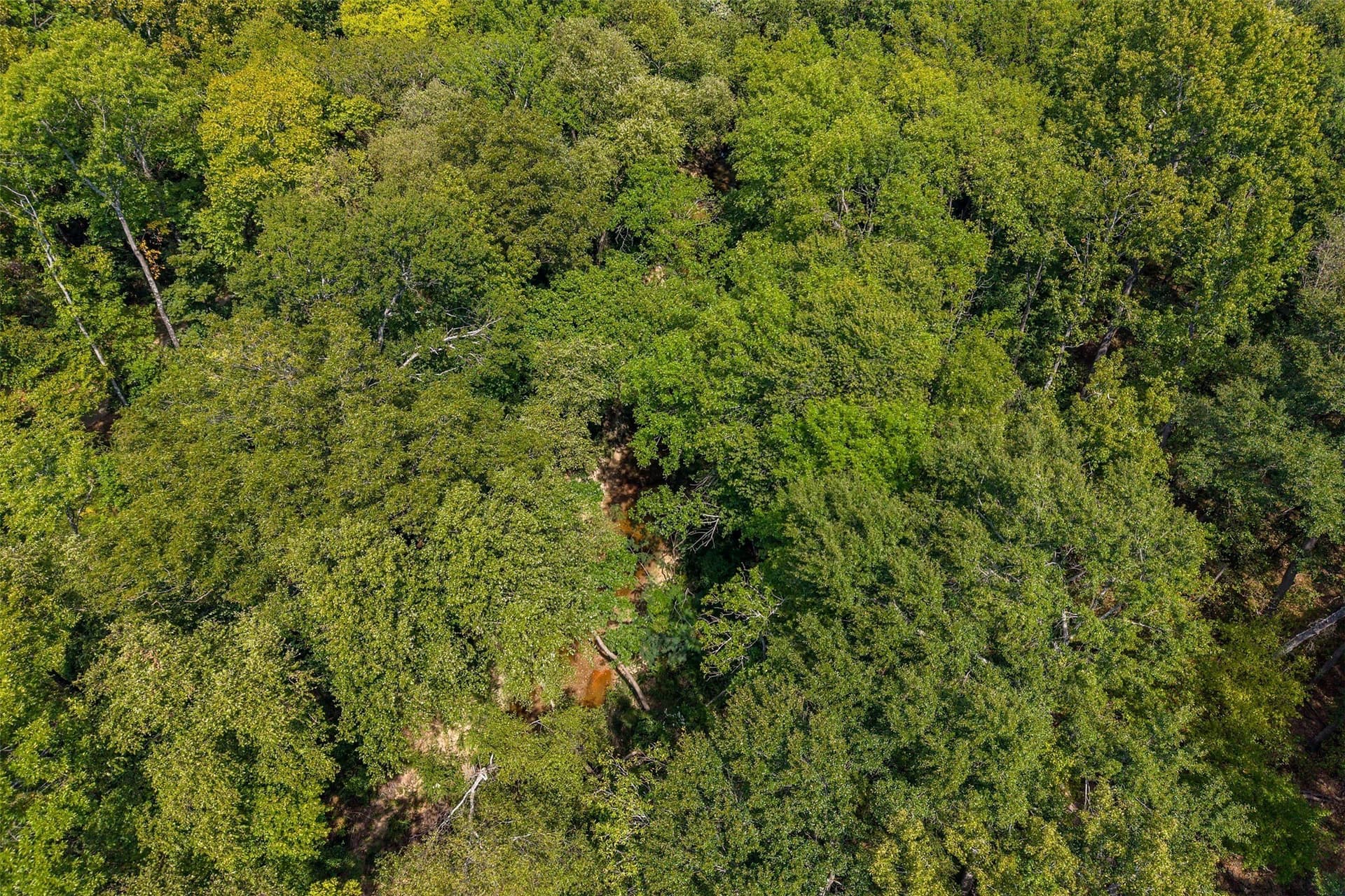 5.44 acres in Smith County - photo 8