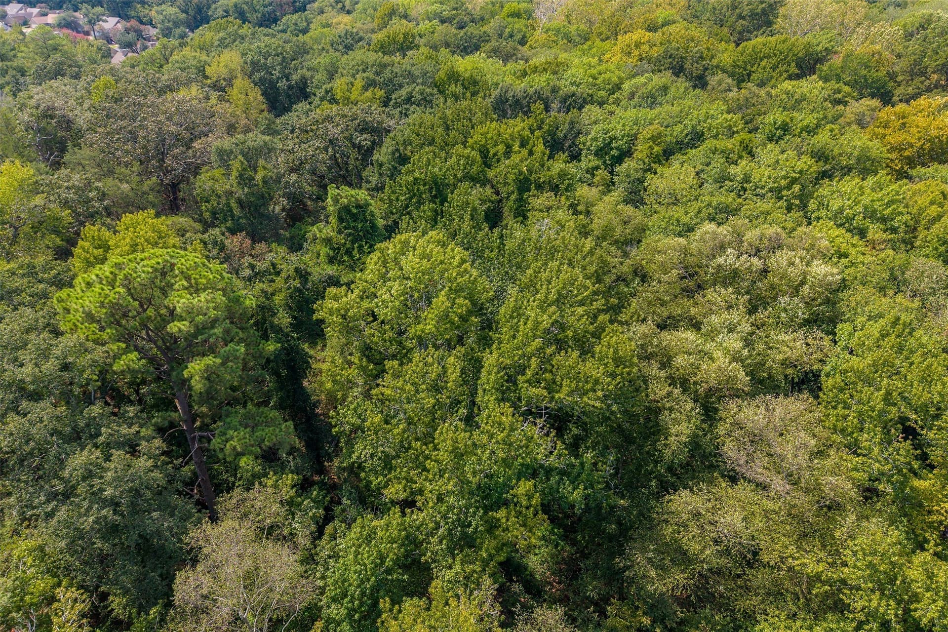 5.44 acres in Smith County - photo 12
