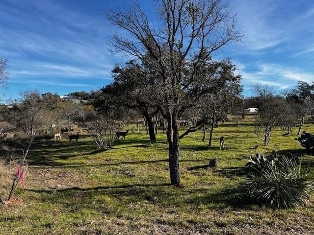 0.39 acres in Burnet County - photo 11