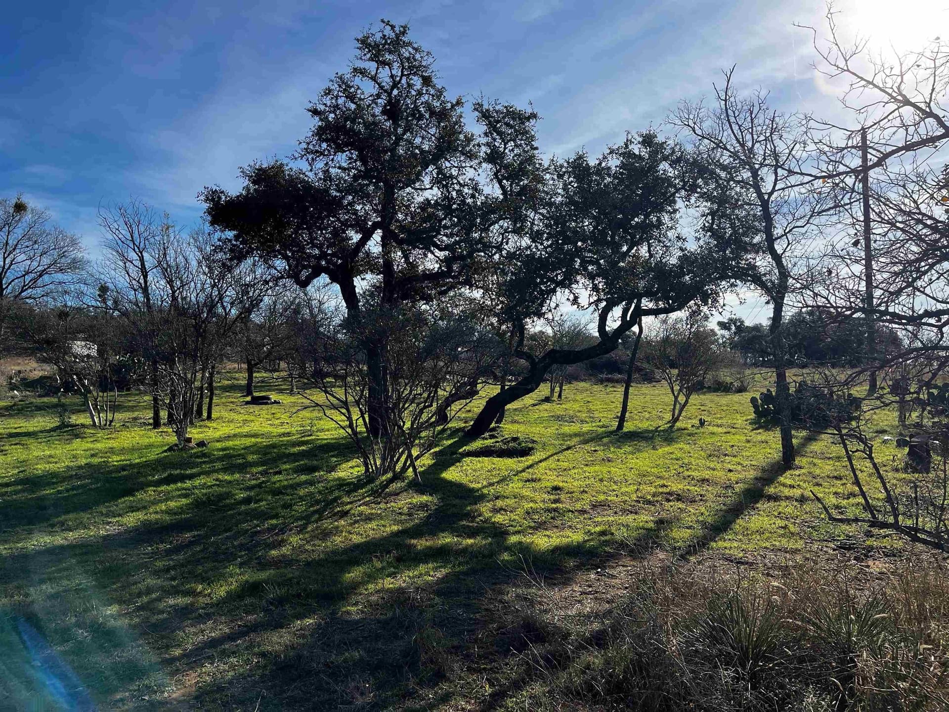 0.39 acres in Burnet County - photo 18