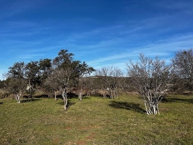 0.39 acres in Burnet County - photo 12