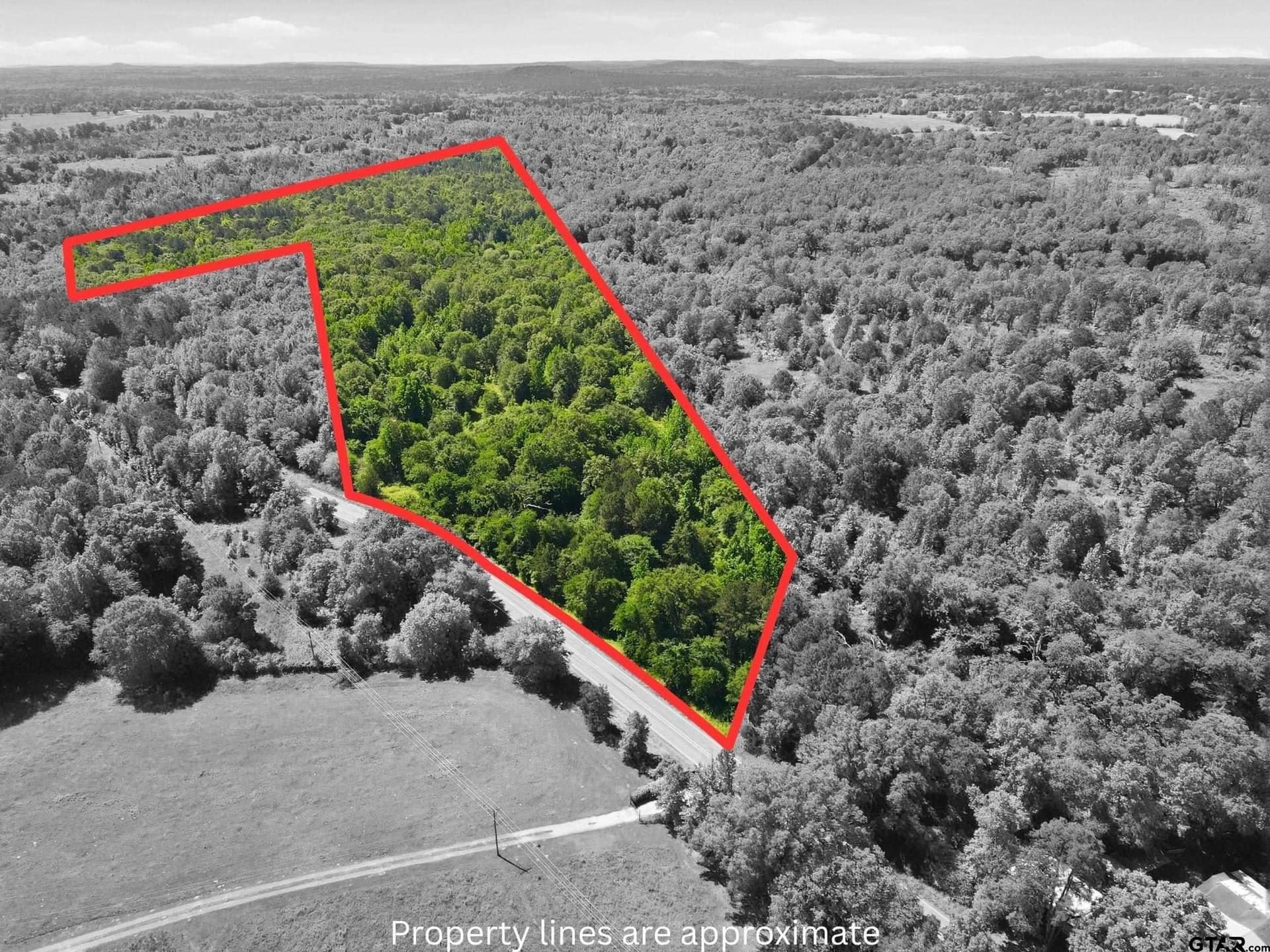 45 acres in Camp County