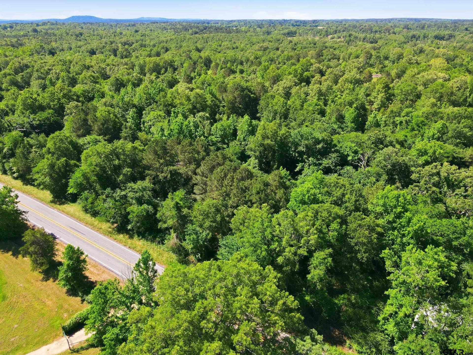 45 acres in Camp County gallery image 3