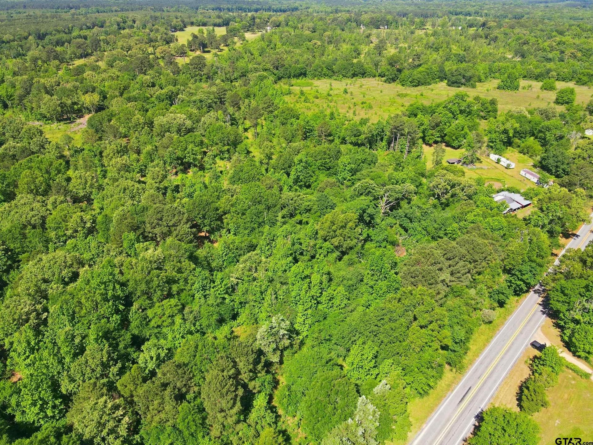 45 acres in Camp County gallery image 2