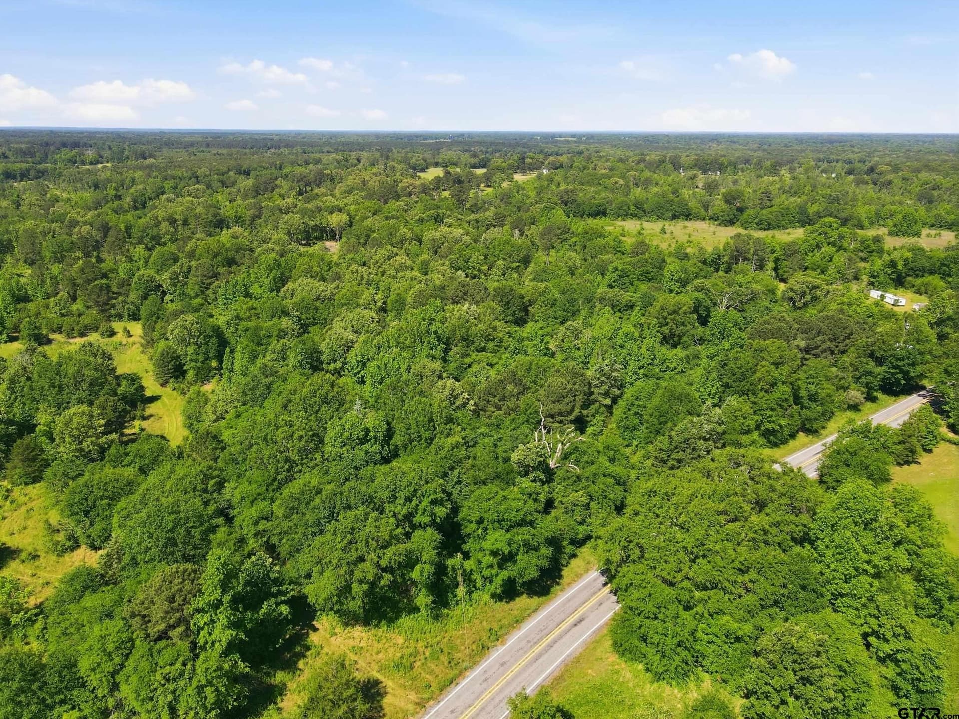 45 acres in Camp County gallery image 4