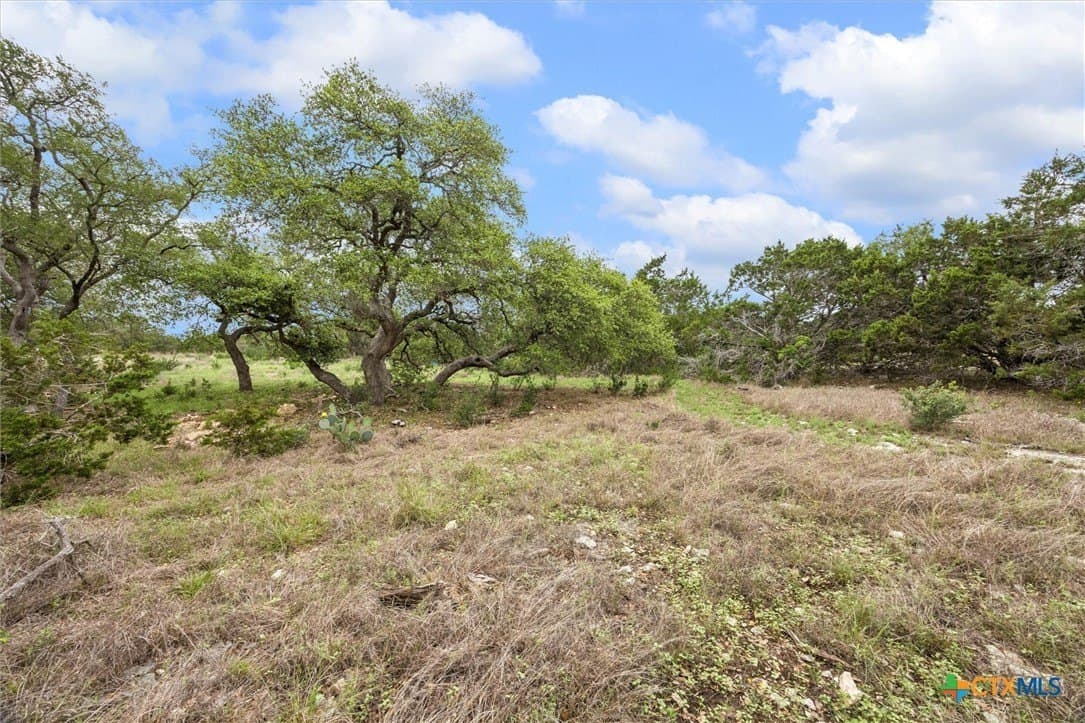 1.03 acres in Comal County featured view