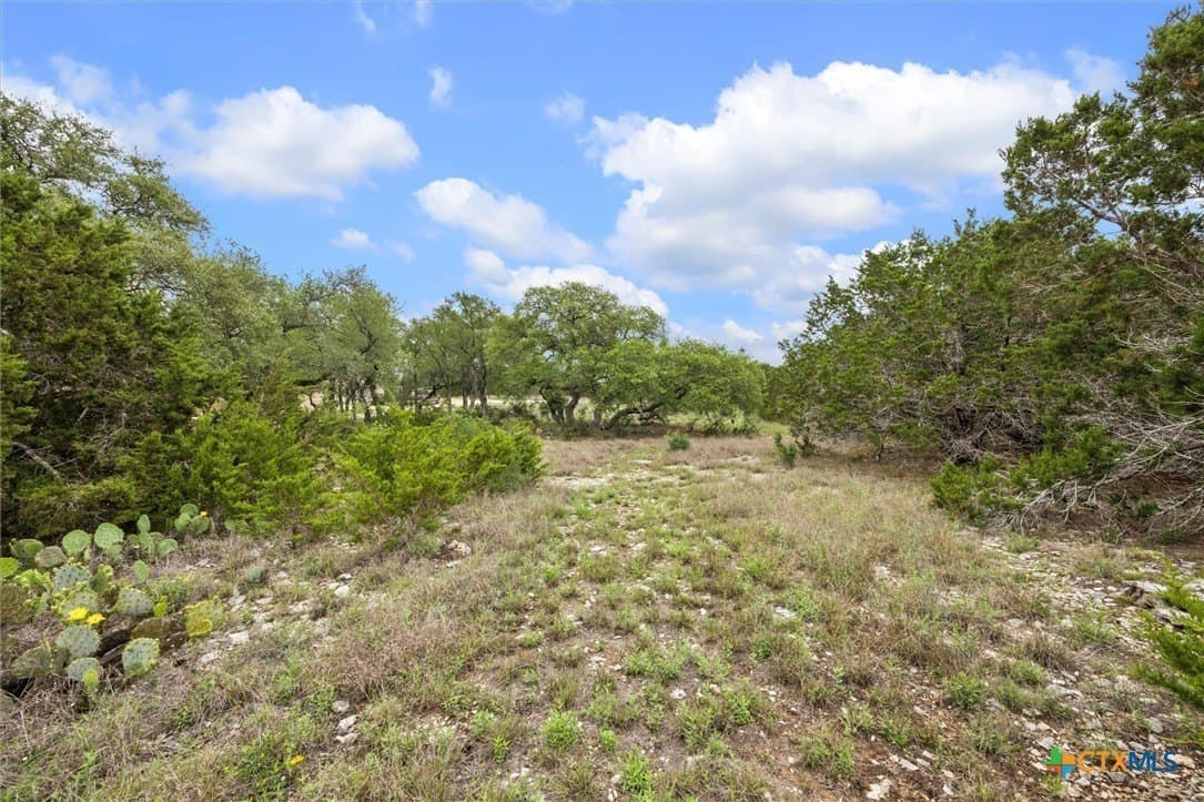 1.03 acres in Comal County gallery image 4