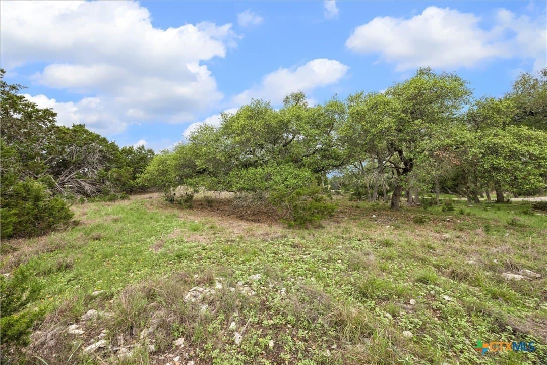 1.03 acres in Comal County - photo 7