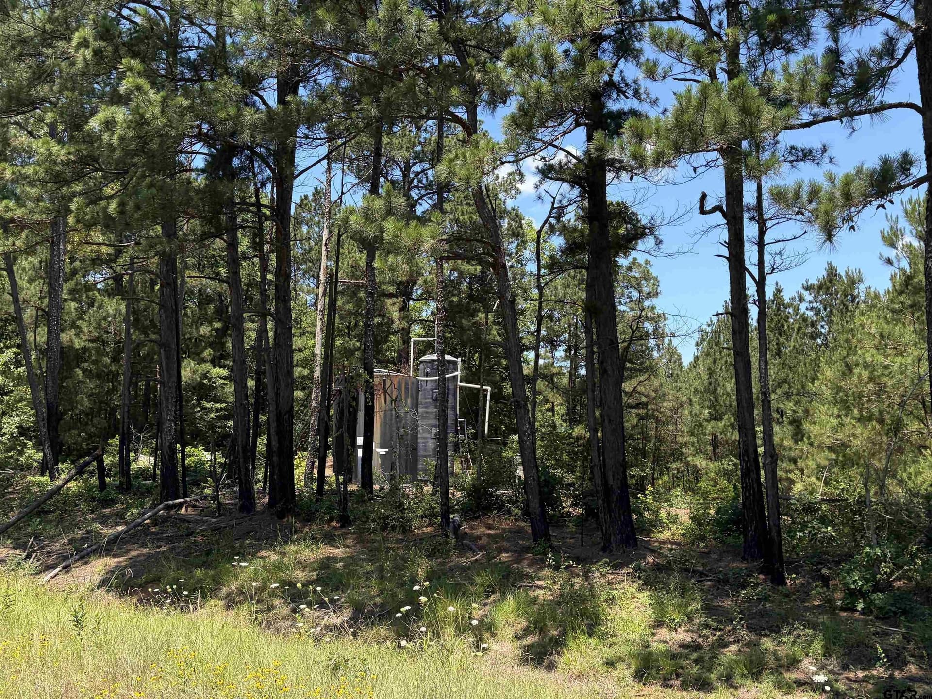 21.76 acres in Rusk County featured view