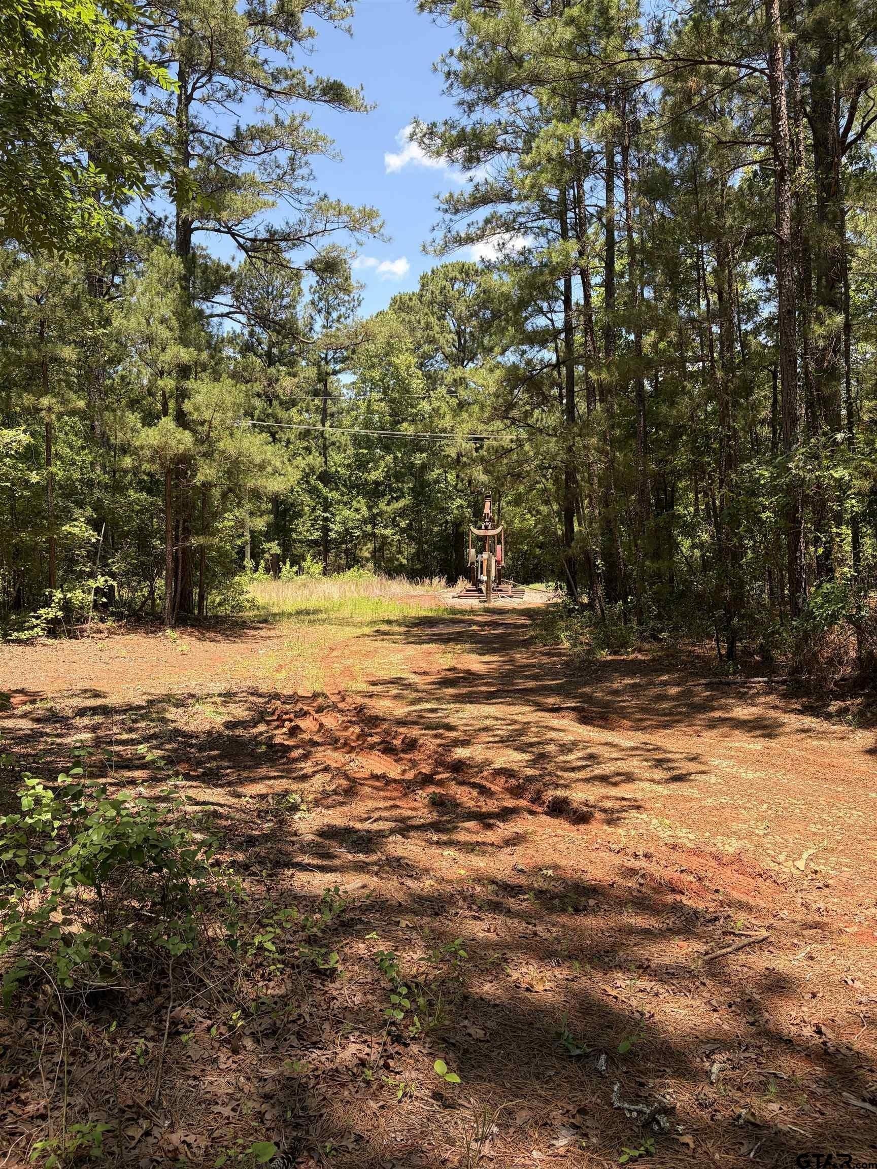 21.76 acres in Rusk County gallery image 3
