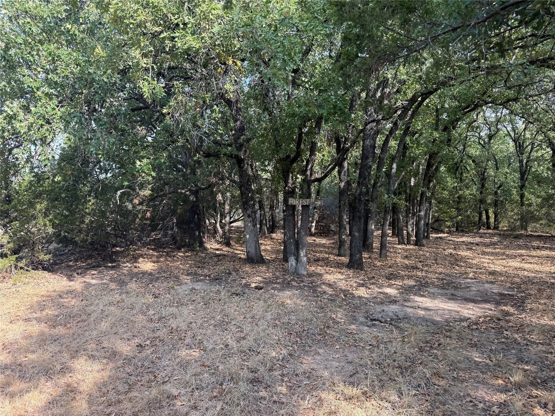 50 acres in Bosque County - photo 19