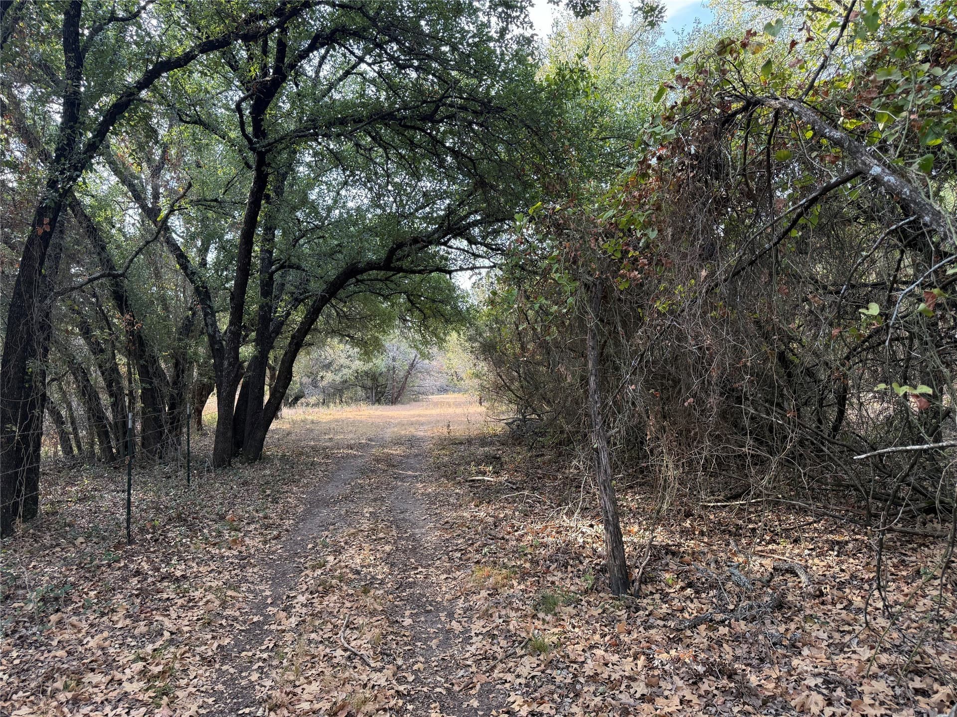 50 acres in Bosque County - photo 15