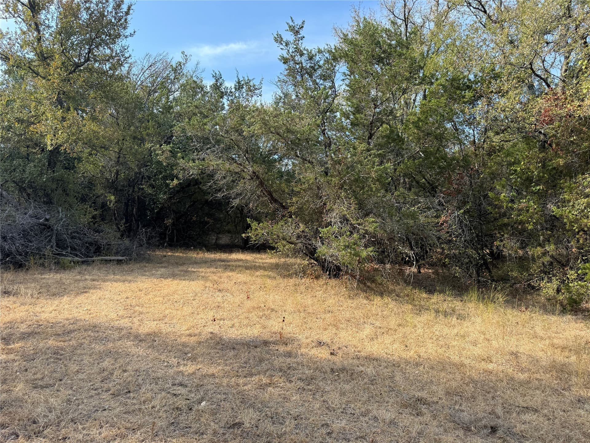 50 acres in Bosque County - photo 16