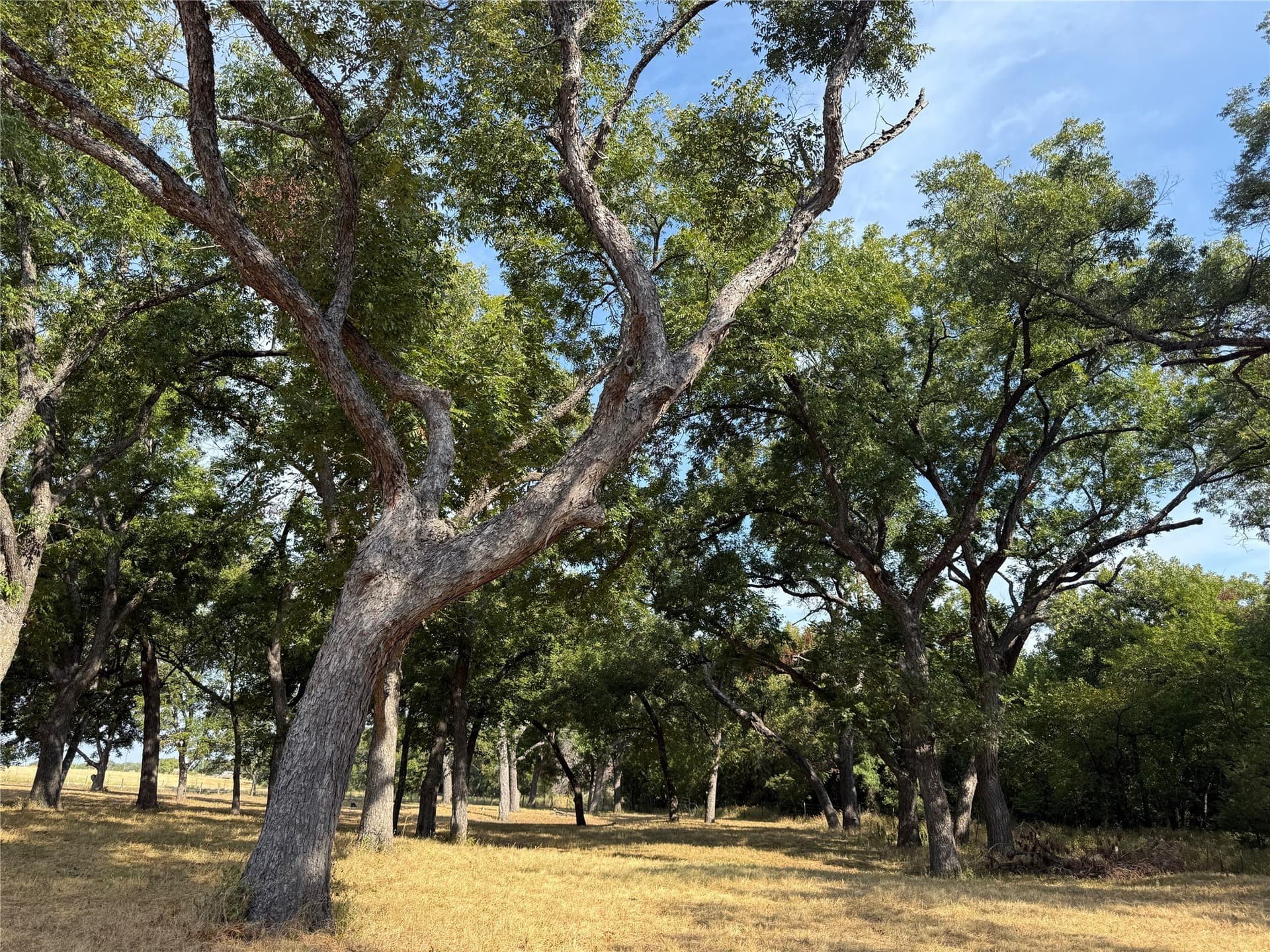 50 acres in Bosque County - photo 20