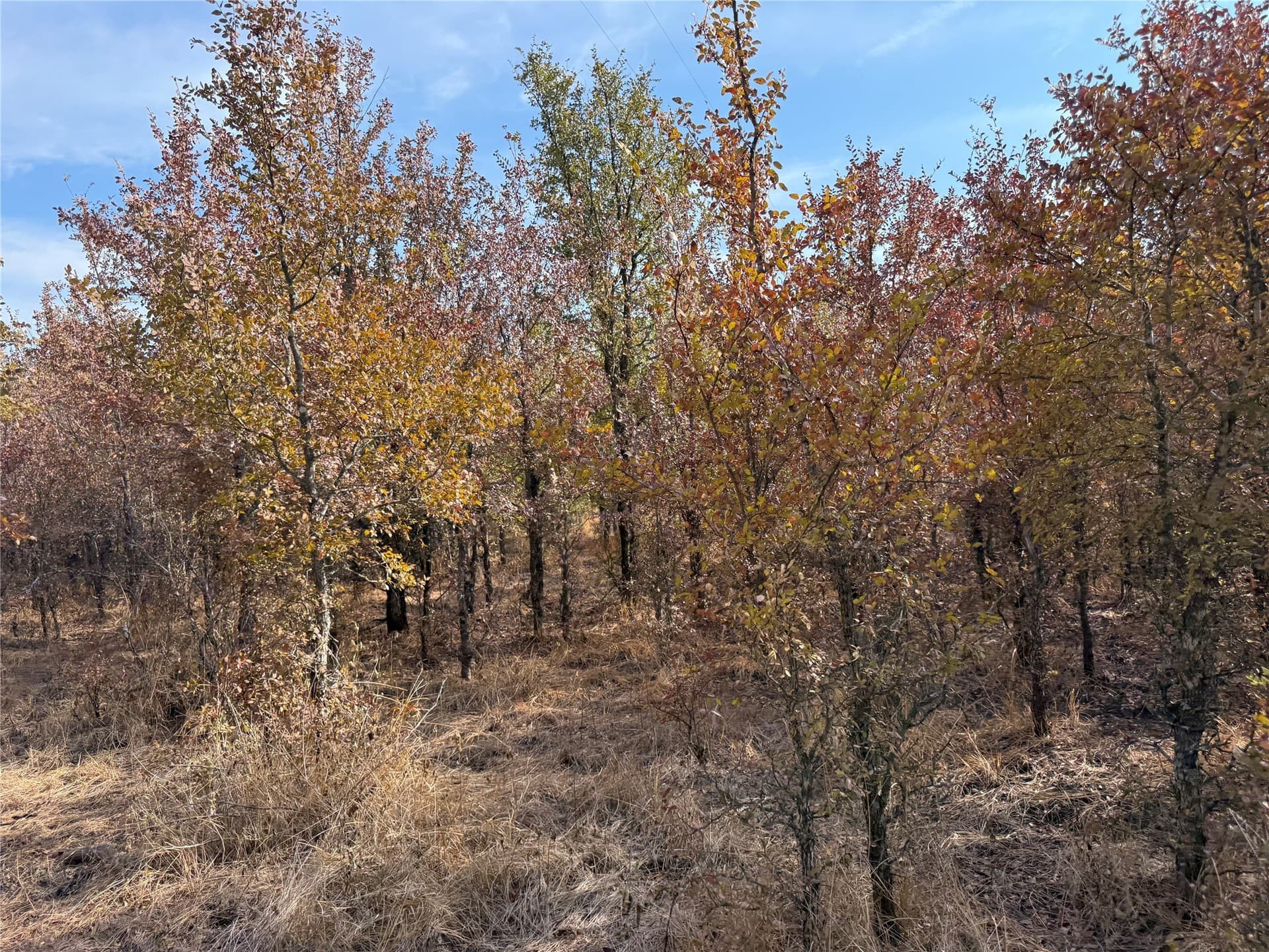 50 acres in Bosque County - photo 18