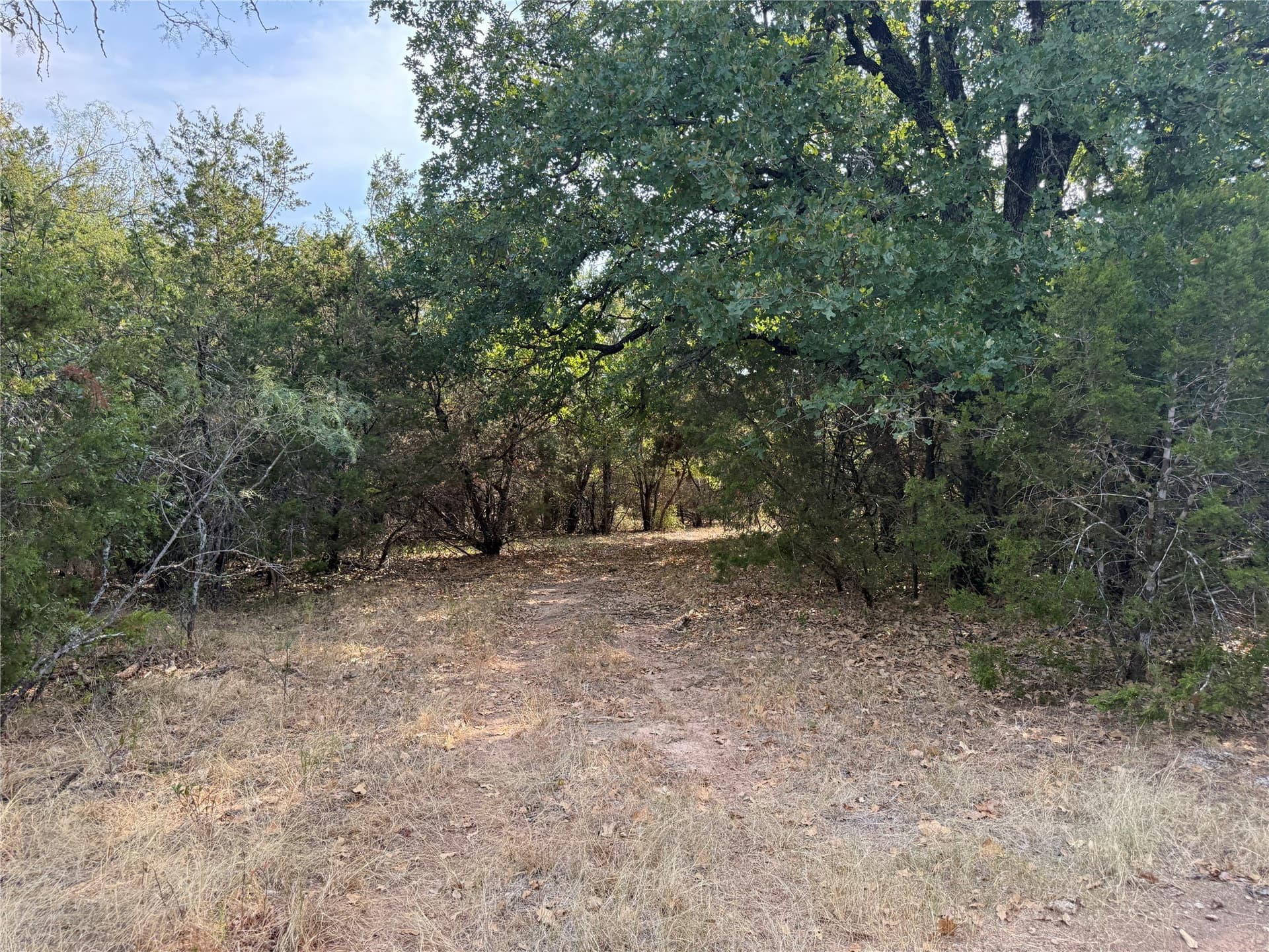 50 acres in Bosque County - photo 24