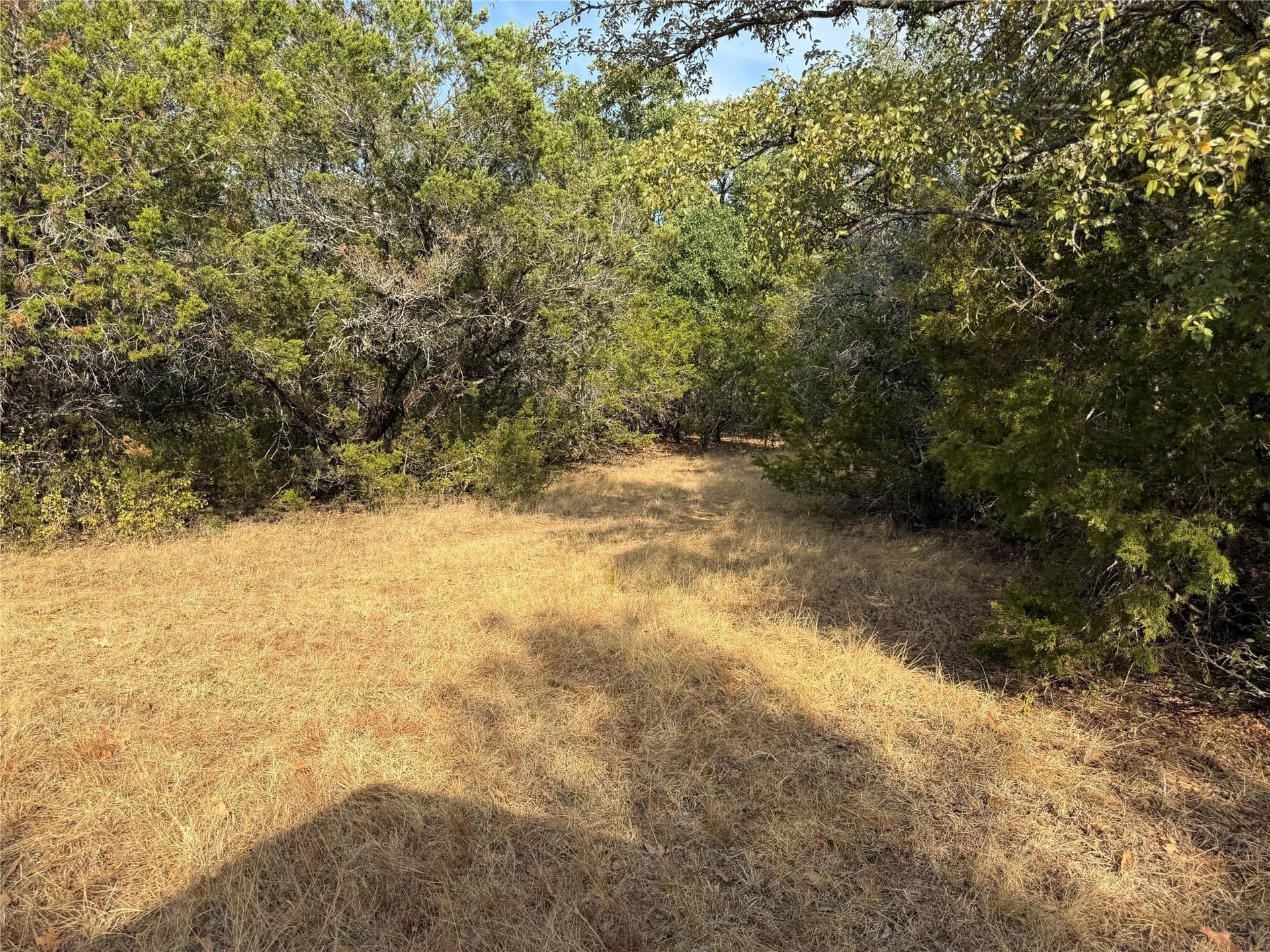 50 acres in Bosque County - photo 17