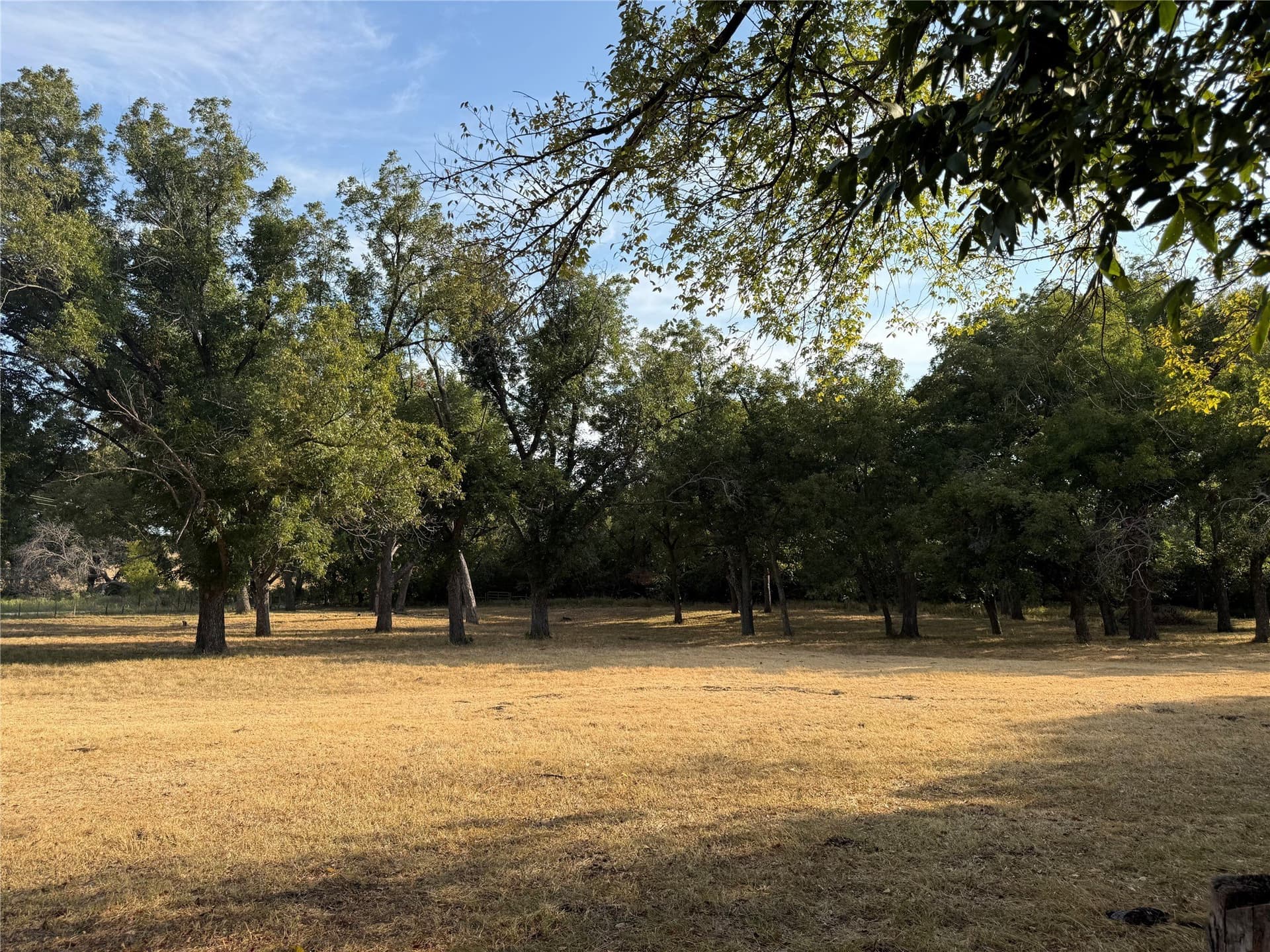 50 acres in Bosque County - photo 11