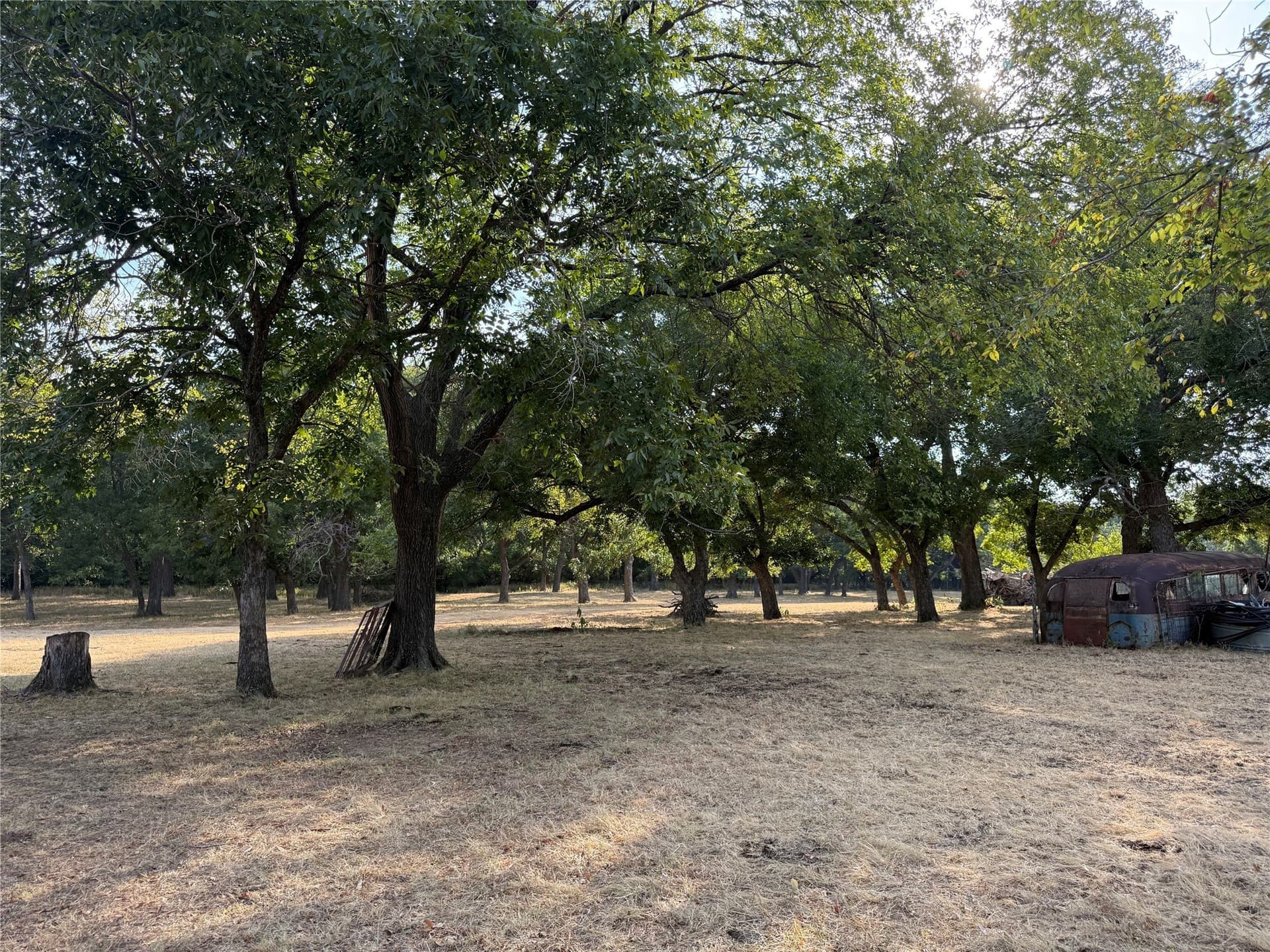 50 acres in Bosque County - photo 12