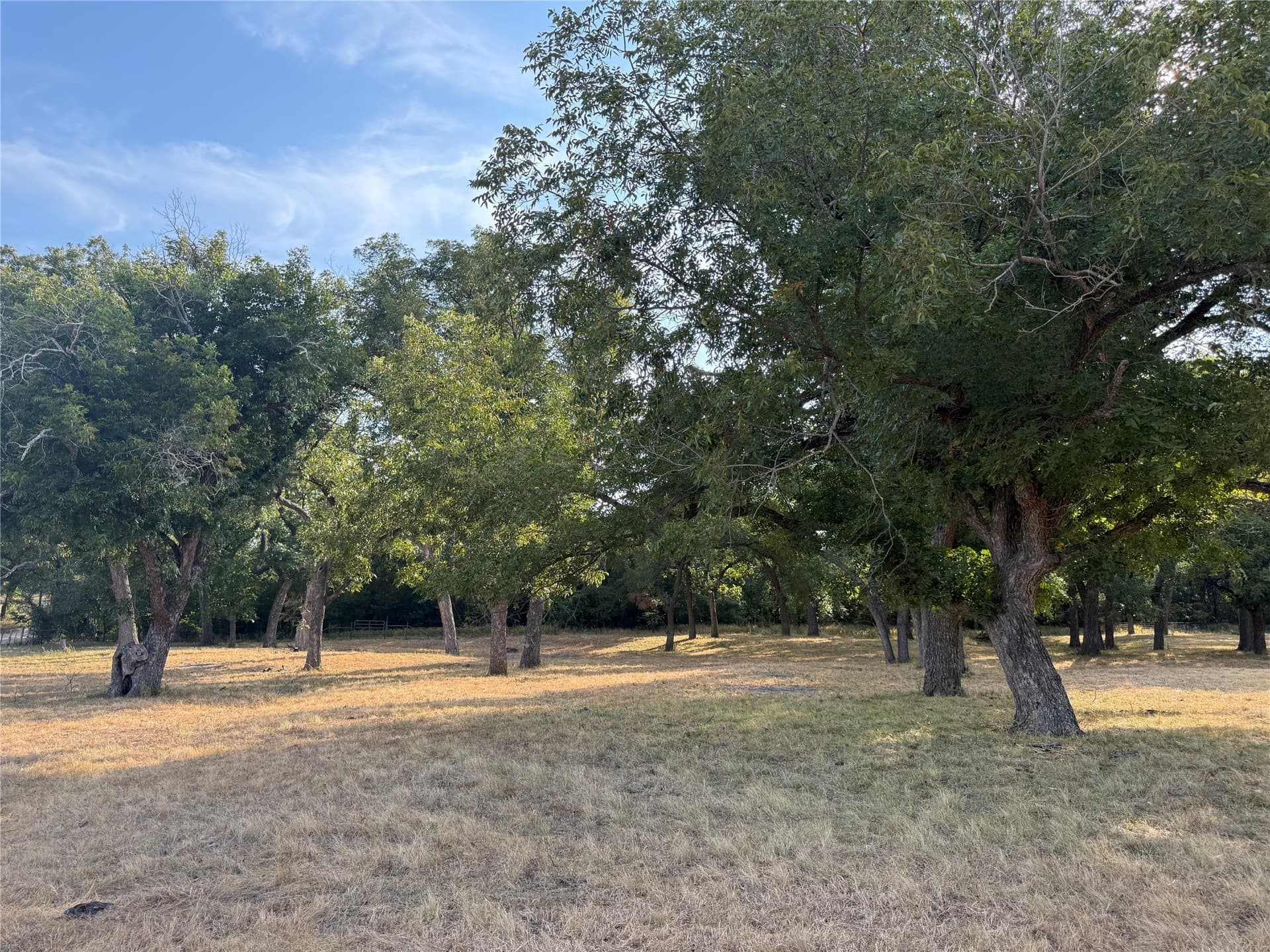 50 acres in Bosque County - photo 13